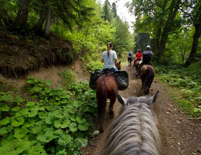 Летние развлечения на территории курорта Красная Поляна (ex. Горки Город) - «Novotel Fit Krasnaya Polyana» / «Новотель Фит Красная Поляна» отель (бывш. «Novotel Congress»)